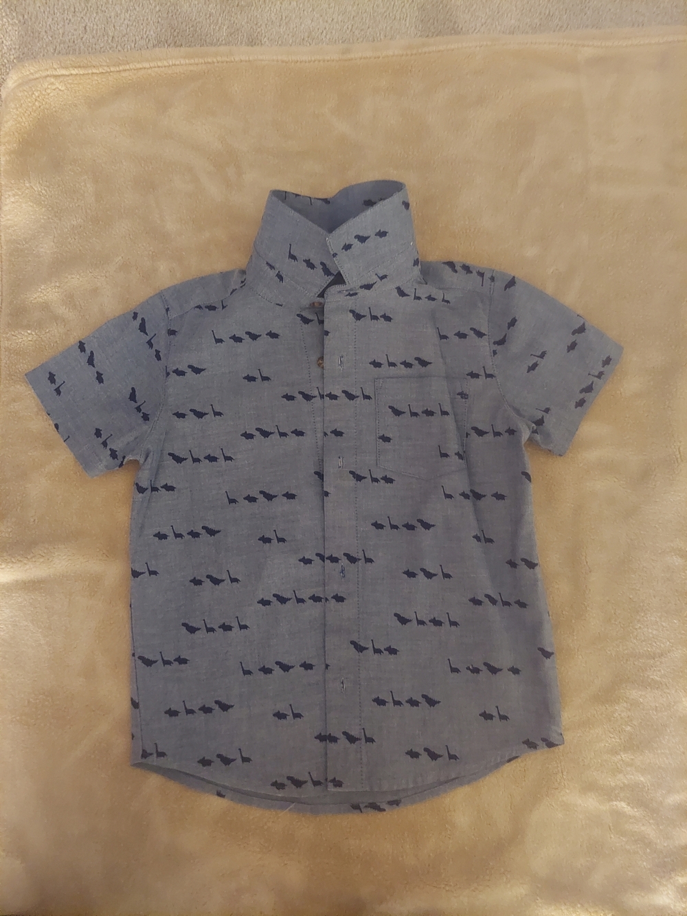 Fun boys short sleeve button-down sBoys 5T Dinosaur Button Down Shirt | Carter’s
